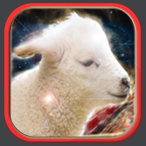 Magic Sheep icon