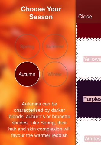 Seasonal Colors screenshot 3