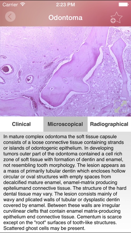 Oral Lesions