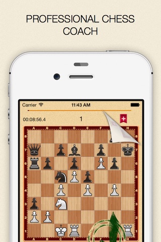 Chess Book - Mate in one collection screenshot 2