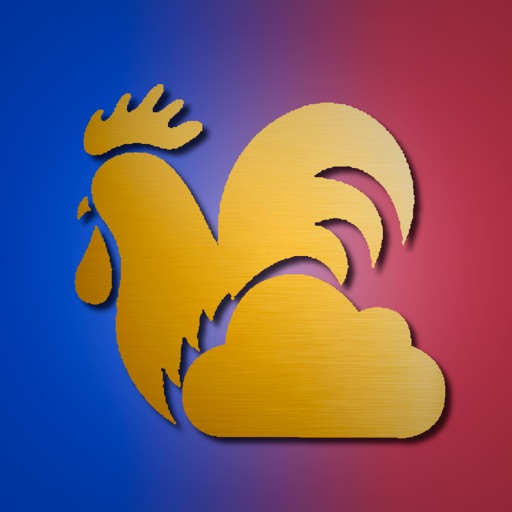 Weather Rooster