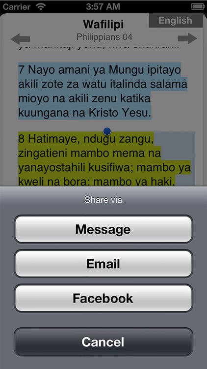 Swahili Bible screenshot-3