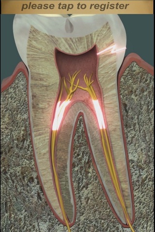 Dental Pain Lite screenshot 2