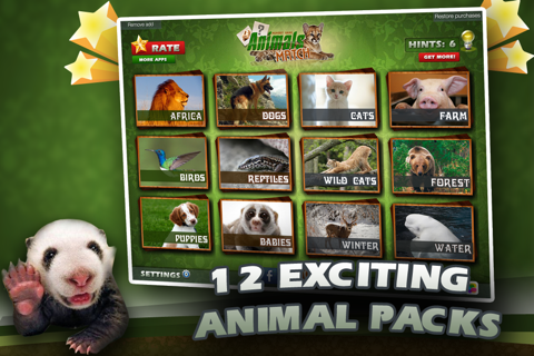 Animals Match Card Game screenshot 2