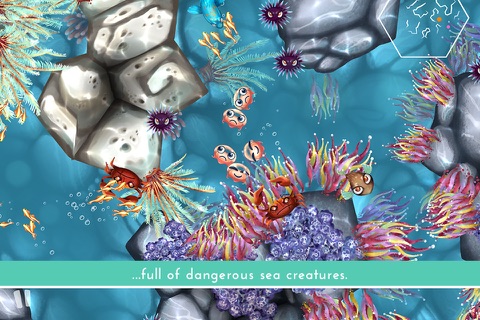 Jelly Reef screenshot 3