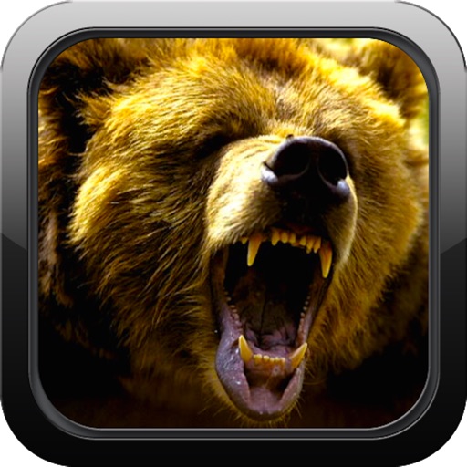 Trophy Bear Hunting Crossing icon