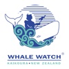 Whale Watch Kaikoura