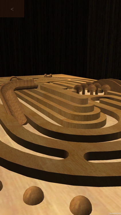 Maze Hole screenshot-4