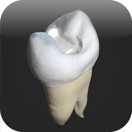 CavSim : 3D Dental Restorative Tooth Cavity Preparation