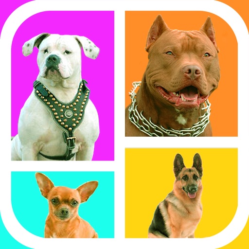 Guess The Dog Breeds Foto Quiz - Watch Pet Doggie,Cute Pup or Hound Dog Pics & Answer Pedigree, New Fun Quizzes! icon