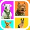 Guess The Dog Breeds Foto Quiz - Watch Pet Doggie,Cute Pup or Hound Dog Pics & Answer Pedigree, New Fun Quizzes!