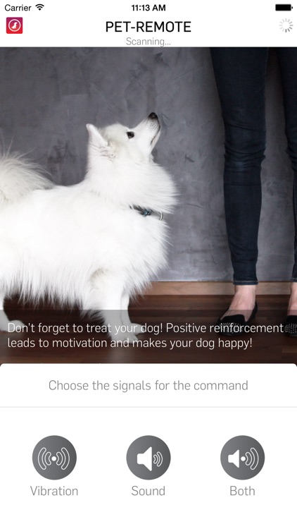 Pet-Remote - Control your dog or pet screenshot-3