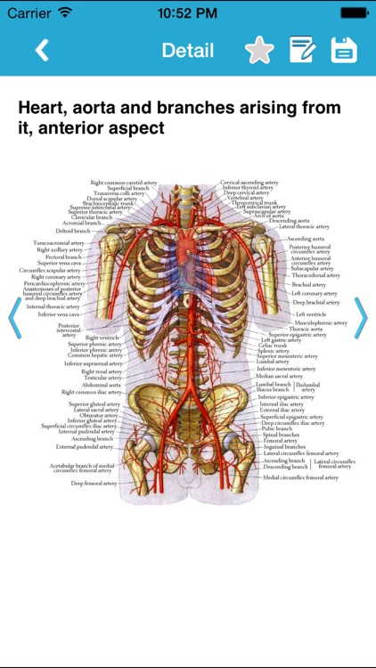 Human Anatomy Pro 2014 screenshot-1