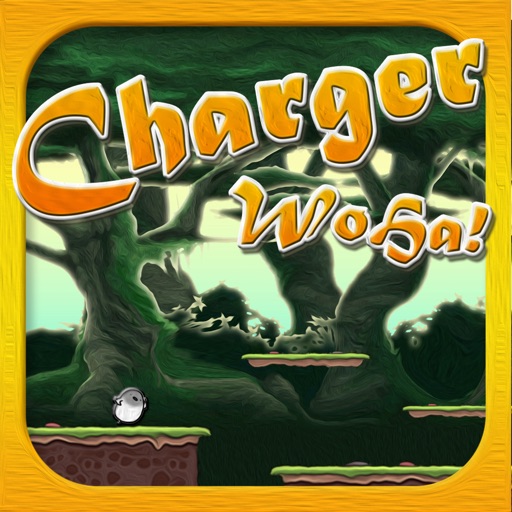 ChargerWoha iOS App