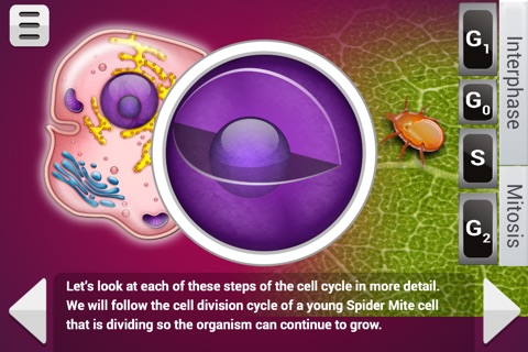 Biology Mitosis & Meiosis Lite screenshot 3