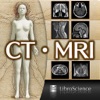 CT・MRI解体新書