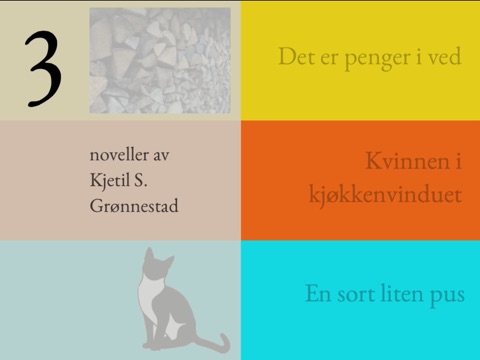 skjermbilde 1