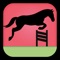 Make the Horse Jump Free Game - Make them jump Best Game