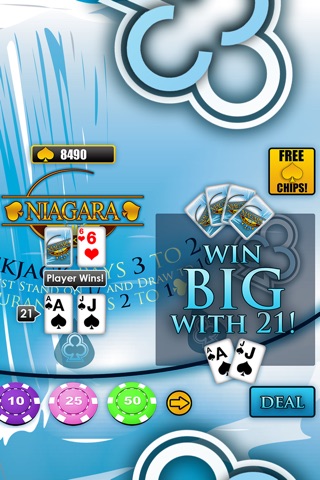 Niagara Blackjack screenshot 4