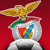 SL Benfica football card game