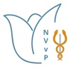 NVvP Congres