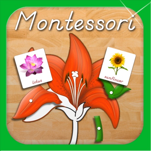 Parts of Plants - A Montessori Approach To Botany HD iOS App