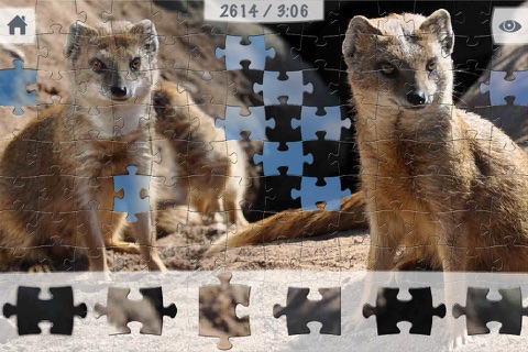 JIGSAW PUZZLEs Nuremberg ZOO for preschool children, schoolchildren and adults screenshot 3