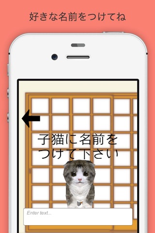 子猫観察 screenshot 3