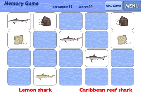 Sharks & Rays - ID Guide screenshot 4