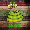 Snake Game Pro: A whole new experience of the game Snake