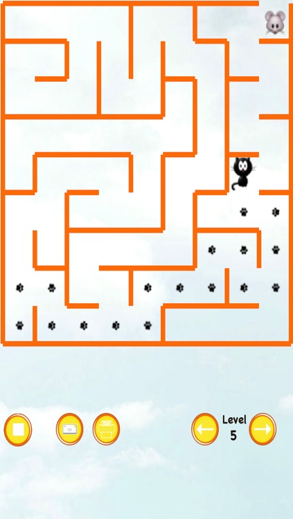 Cat Maze Race
