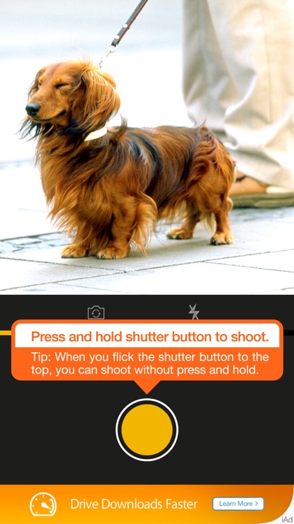 RevCam Free