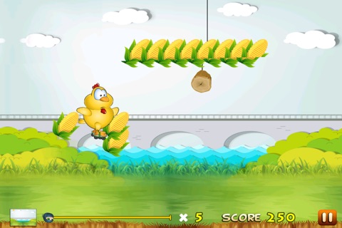Baby Chicken Joyride - A Tiny Farm Animal Skater screenshot 2