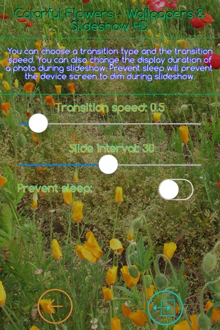 Colorful Flowers - Wallpapers & Slideshow HD screenshot 4