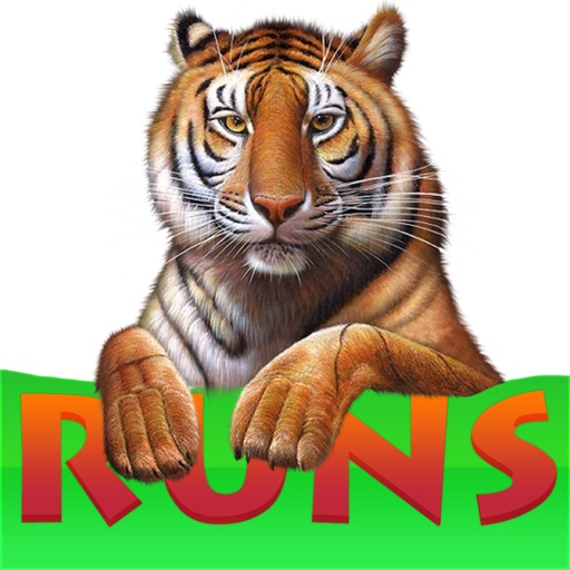 Tiger Runs icon