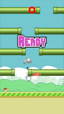 Game screenshot Rolly Bird - The Bird That Can't Fly apk