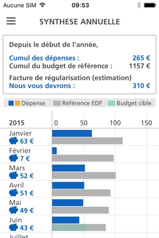 Budget-Elec screenshot 4