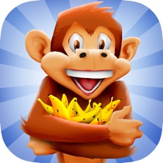 Activities of Monkey Quest Rush: Banana Drop Madness