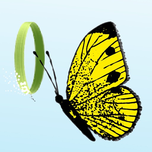 Flying Butterfly Icon
