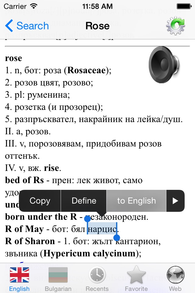 Bulgarian English best dictionary - Български Английски добрият речник screenshot 3