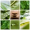 The application "Natural Health HD" is for all
