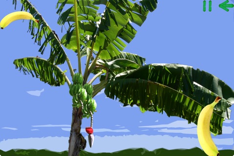 FruitPassion screenshot 4