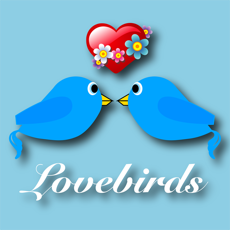 Activities of Lovebirds - The Game