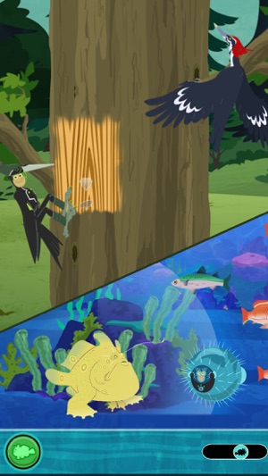 Wild Kratts World Adventure(圖4)-速報App