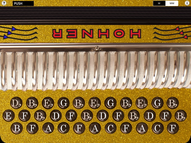 Hohner-FBbEb Xtreme SqueezeBox