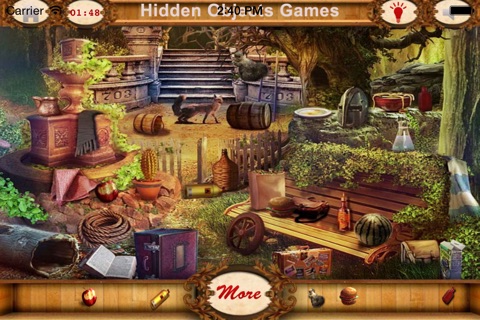 Hidden Objects Unexplored Islands screenshot 4