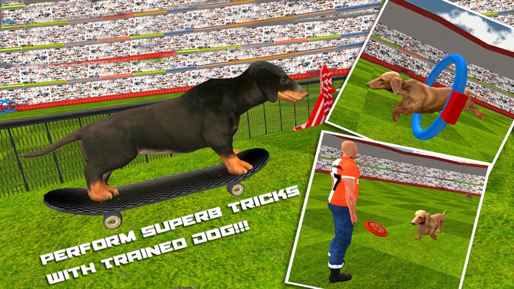 Dog Show Simulator 3D: Train puppies & perform amazing stunts