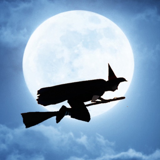 Broomstick Icon