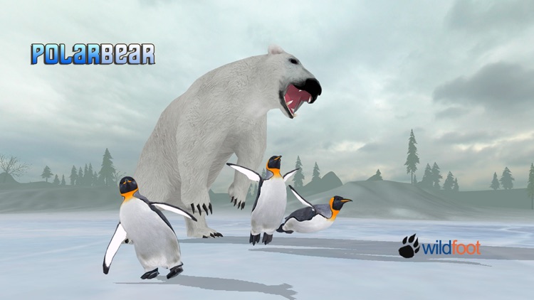 Polar Bear Chase