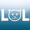 Thousands of Lol Cats
